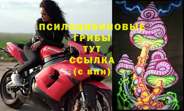индика Домодедово