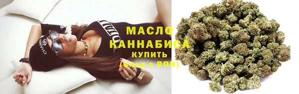 прущие грибы Медногорск