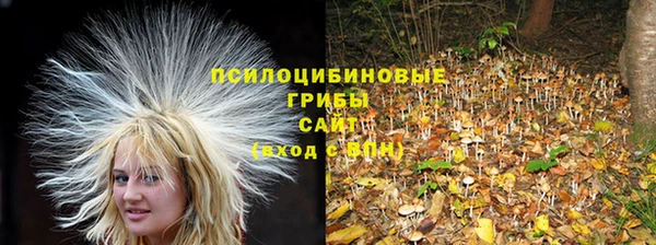 синтетический гашиш Медвежьегорск