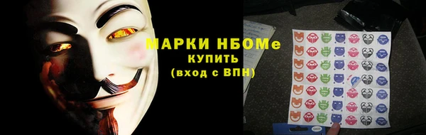 прущие грибы Медногорск