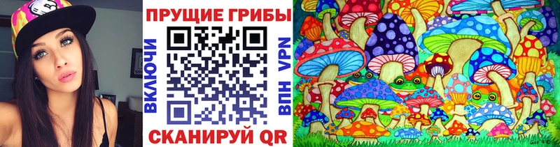 Псилоцибиновые грибы мухоморы  купить наркотики цена  Канск 