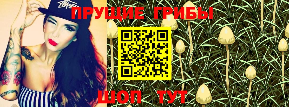 Канск  Галлюциногенные грибы MAGIC MUSHROOMS  Вход с VPN 
